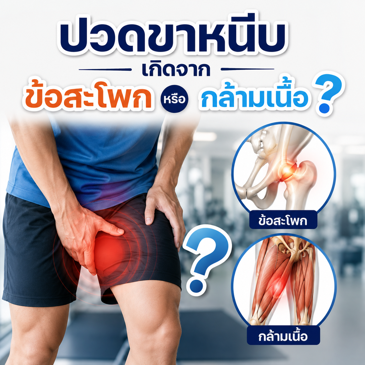 ปวดขาหนีบ เกิดจาก ข้อสะโพก หรือกล้ามเนื้อ
